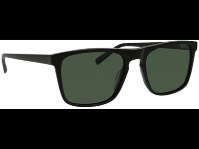 SunRay Sonnenbrille Herren Sunray Pola 06-57370-01 Ansicht 4
