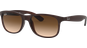 Ray-Ban RB4202 Andy Matt Braun / Verlauf Braun 607313 55