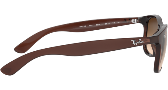 Ray-Ban RB4202 Andy Matt Braun / Verlauf Braun 607313 55 - Ansicht 14