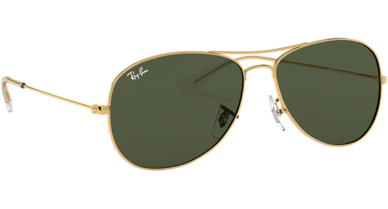 Ray-Ban Cockpit RB3362 001 - Ansicht 12
