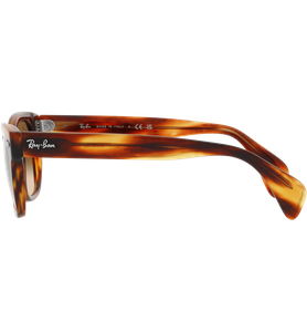 Ray-Ban RB0880S 954/51 - Ansicht 4