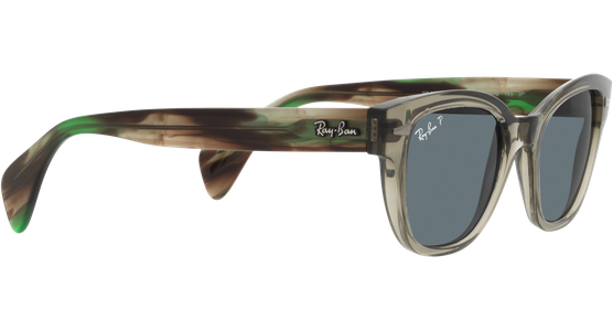 Ray-Ban RB0880S 66353R - Ansicht 11