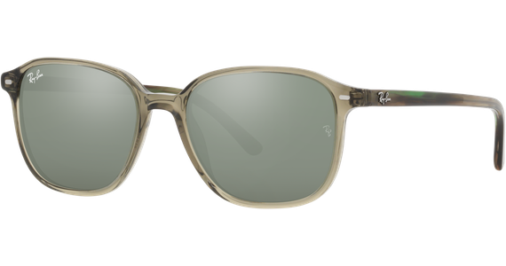 Ray-Ban Leonard RB2193 66355C - Ansicht 2