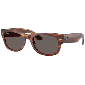  Ray-Ban RB0832S 954/B1