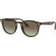 Ray-Ban RB4259 Glänzend Havanna Grau / Verlauf Braun 731/E8 51