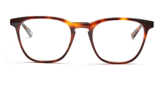 FRAIMS 03-97110-01 Bruce, Dunkel Havanna - Ansicht 2