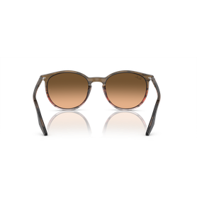 Ray-Ban RB2204 13953B - Ansicht 5