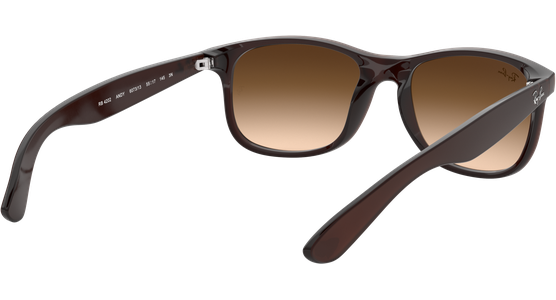 Ray-Ban RB4202 Andy Matt Braun / Verlauf Braun 607313 55 - Ansicht 12