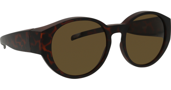Sunray Pola Überbrille 06-57420-02 - Ansicht 5
