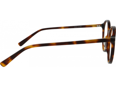 Studio Milano Brille Damen Studio Milano 01-33070-02 5119 Havanna Ansicht 3