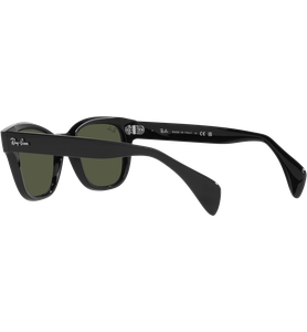 Ray-Ban RB0880S 901/31 - Ansicht 5