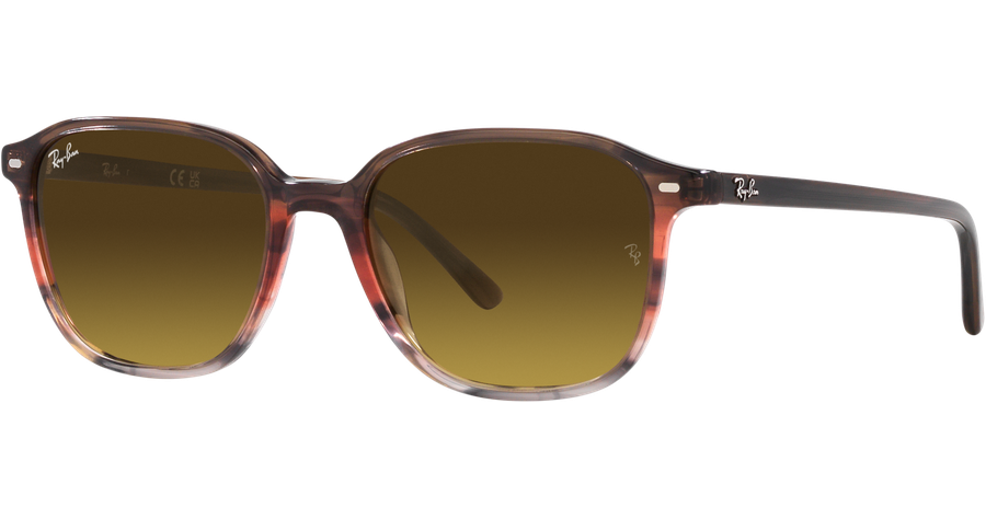 Ray-Ban Sonnenbrille Unisex Ray-Ban Leonard RB2193 138085 Ansicht 1