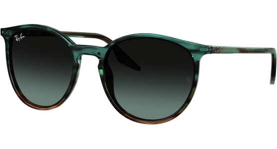 Ray-Ban RB2204 1394GK - Ansicht 2