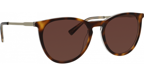 meineBrille 14-36040-02 Havanna transparent / Gold matt - Ansicht 5