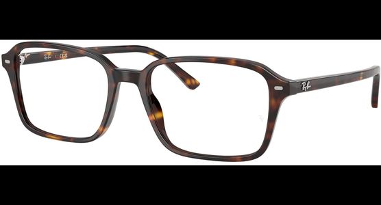 Ray-Ban Raimond RX5431 2012 - Ansicht 4