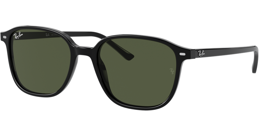 Ray-Ban Sonnenbrille Unisex Ray-Ban Leonard RB2193 Glänzend Schwarz / Grün 901/31 53 Ansicht 1