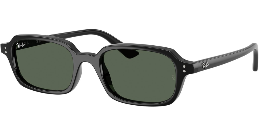  Ray-Ban RB4455 667771 Ansicht 1
