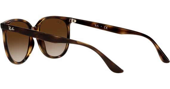 Ray-Ban RB4378 710/13 - Ansicht 5