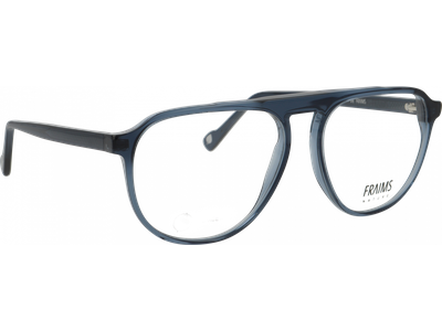 FRAIMS Brille Unisex FRAIMS NATURE 03-41200-02 River, blaugrau transparent glänzend Ansicht 4
