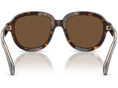 Moncler Sonnenbrille Unisex Moncler Cirsee ME6007U 300273 54 Ansicht 4