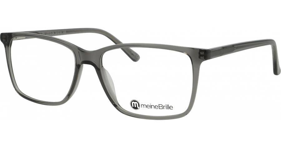 meineBrille Brille Herren meineBrille 04-12010-04, Grau transparent glänzend Ansicht 1