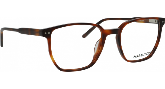 Hamilton 01-43260-02 - Ansicht 4