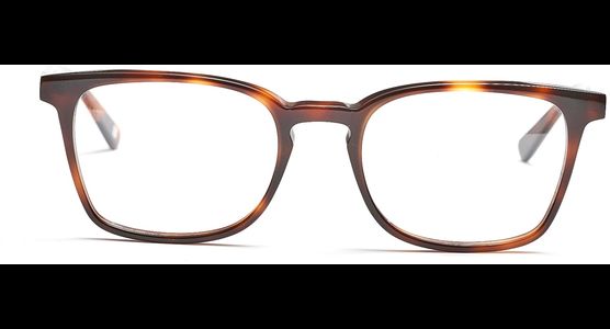 FRAIMS 03-97060-03 Paul, Dunkel Havanna - Ansicht 2