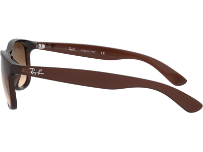 Sonnenbrille Ray-Ban RB4202 Andy Matt Braun / Verlauf Braun Seitenansicht