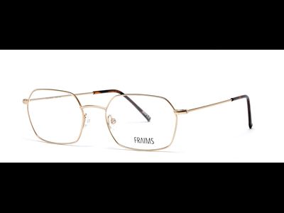FRAIMS Brille Herren FRAIMS 03-97240-02 Taylor, Gold Matt Ansicht 2