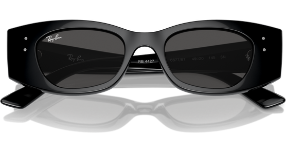 Ray-Ban Kat RB4427 667787 49 - Ansicht 6