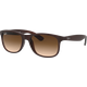 Ray-Ban RB4202 Andy Matt Braun / Verlauf Braun 607313 55