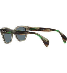 Ray-Ban RB0880S 66353R - Ansicht 5