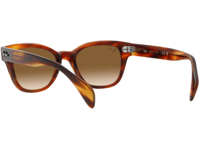 Ray-Ban Sonnenbrille Unisex Ray-Ban RB0880S 954/51 Ansicht 5