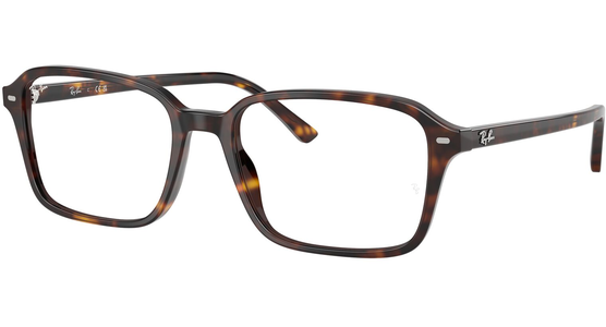 Ray-Ban Raimond RX5431 2012 - Ansicht 4