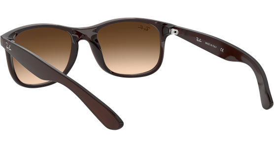 Ray-Ban RB4202 Andy Matt Braun / Verlauf Braun 607313 55 - Ansicht 10
