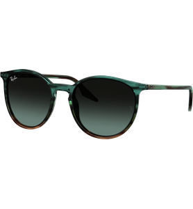 Ray-Ban RB2204 1394GK - Ansicht 2