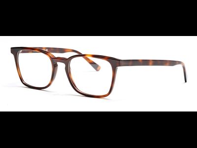 FRAIMS Brille Herren FRAIMS 03-97060-03 Paul, Dunkel Havanna Ansicht 2