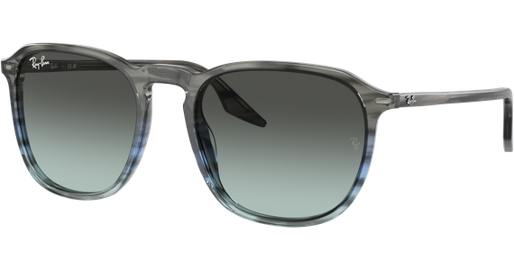 Ray-Ban RB2203 1391GK - Ansicht 2