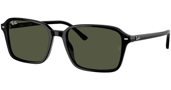 Ray-Ban 0RB2231 901/31 - Ansicht 2