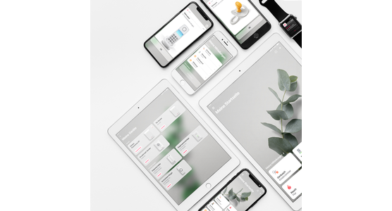 Visit 868 Telefon-Transceiver BT BE1433 - Ansicht 5