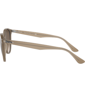 Sonnenbrille Ray-Ban RB4305 Glänzend Beige / Verlauf Braun Seitenansicht - Ansicht 4