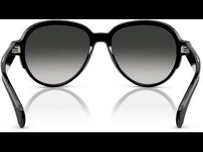 Moncler Sonnenbrille Unisex Moncler Swanspan ME6005 30013C 57 Ansicht 4