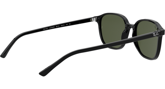 Ray-Ban Leonard RB2193 901/31 53 - Ansicht 9