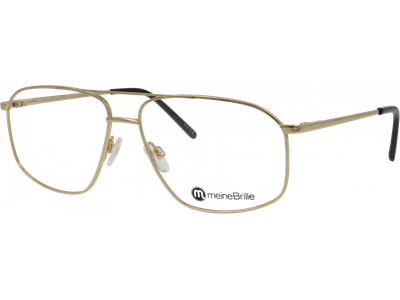 meineBrille 04-20190-02 Gold glänzend Schrägansicht links