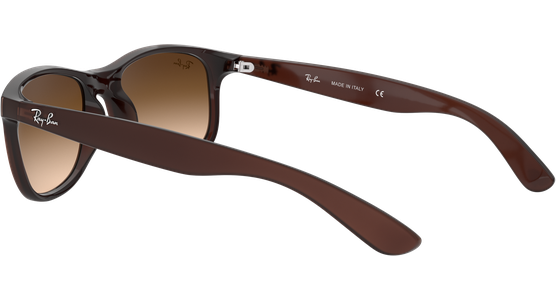 Ray-Ban RB4202 Andy Matt Braun / Verlauf Braun 607313 55 - Ansicht 9