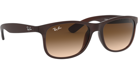 Ray-Ban RB4202 Andy Matt Braun / Verlauf Braun 607313 55 - Ansicht 16