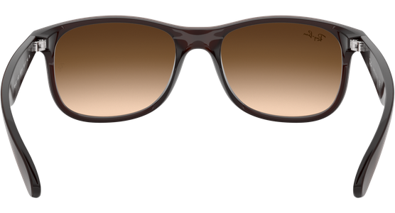 Ray-Ban RB4202 Andy Matt Braun / Verlauf Braun 607313 55 - Ansicht 11