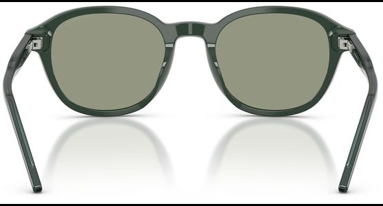 Emporio Armani EA4247U 6257/2 51 - Ansicht 5