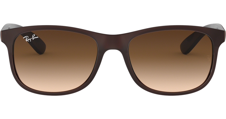 Sonnenbrille Ray-Ban RB4202 Andy Matt Braun / Verlauf Braun