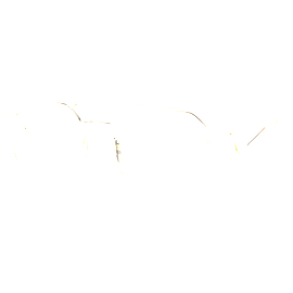 Prada Brille Damen Prada PR A51V ZVN1O1